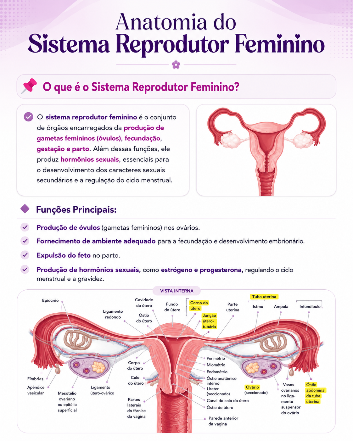 Resumo de Biomedicina 1